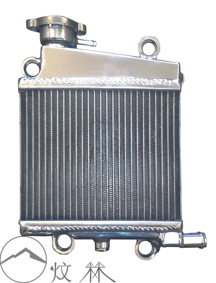【炆林】yamaha 三葉 勁戰CYGNUS GRYPHUS BWS force2.0 加厚改裝水箱 加大全鋁散熱器