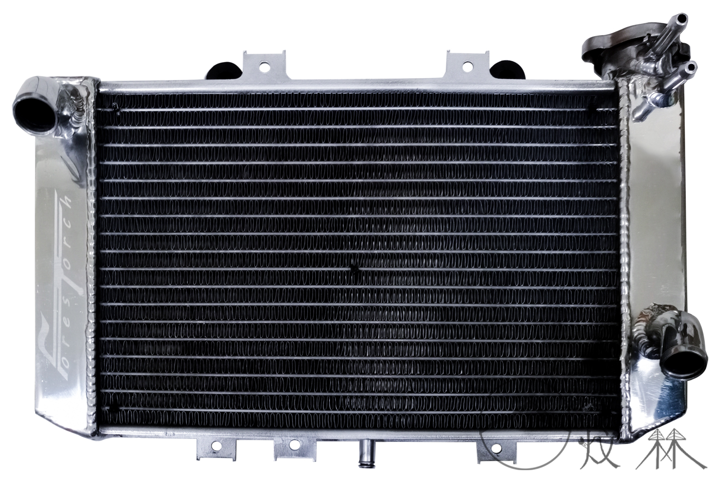 【炆林】寶馬 BMW G310R 加厚 加大水箱 水冷散熱器
